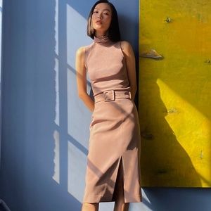Aritzia Babaton Bramble Belted Pencil Skirt, Size 2